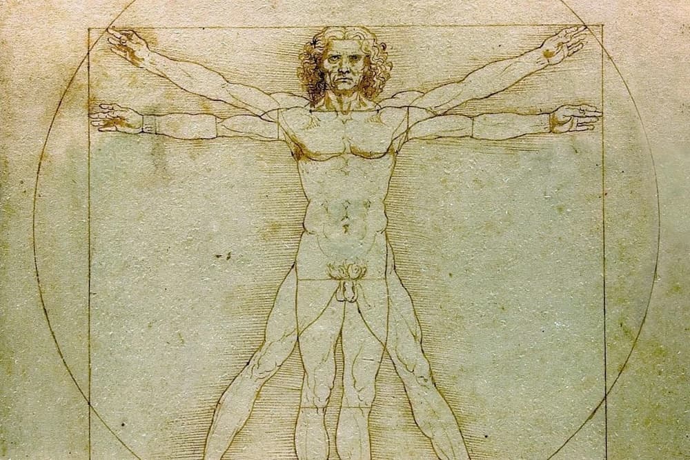Vitruvian Man by Leonardo da Vinci